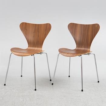 Arne Jacobsen, stolar, 6 st, "Sjuan", Fritz Hansen, Danmark,.