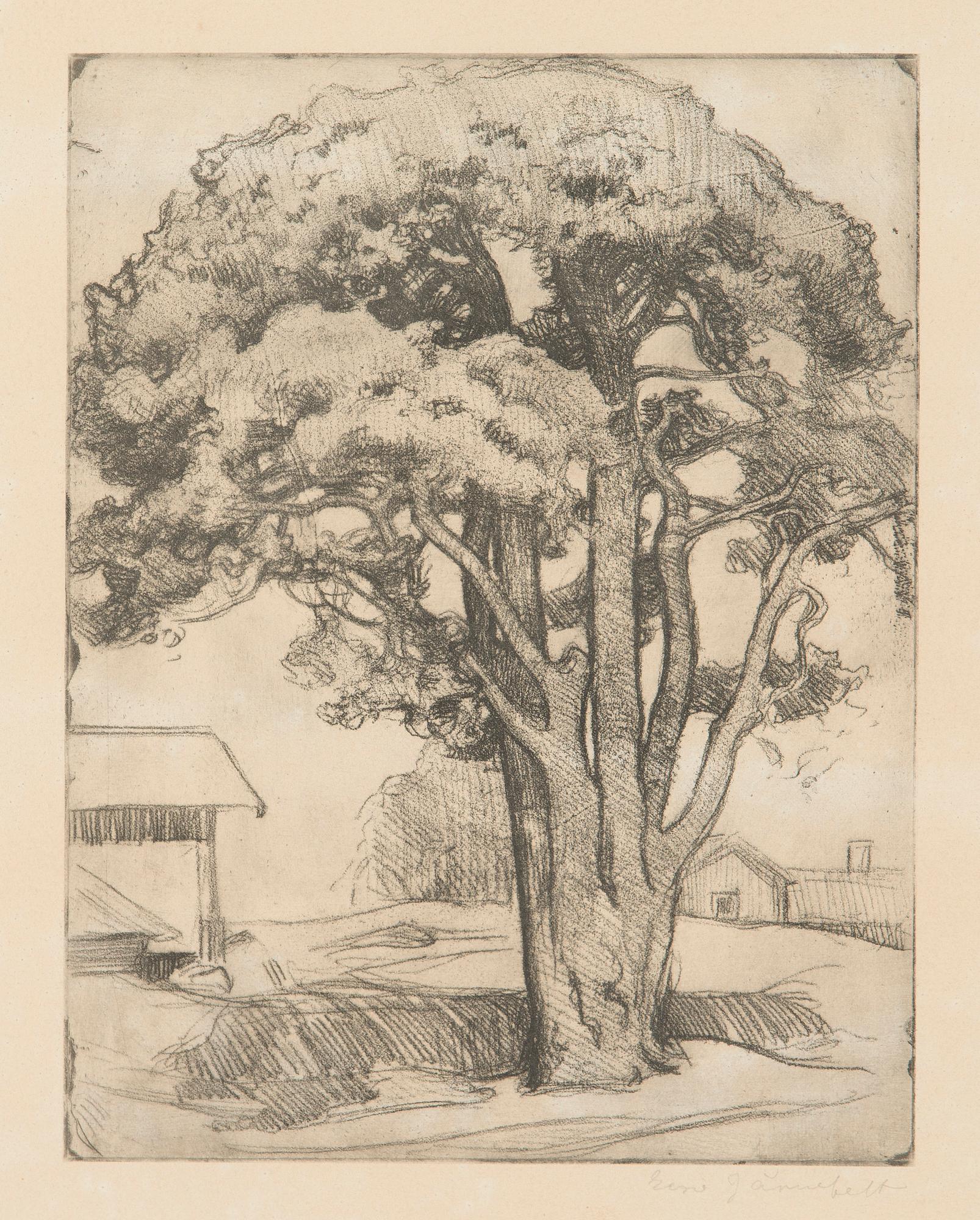 Eero Järnefelt, "Tallen från Tomasby I".