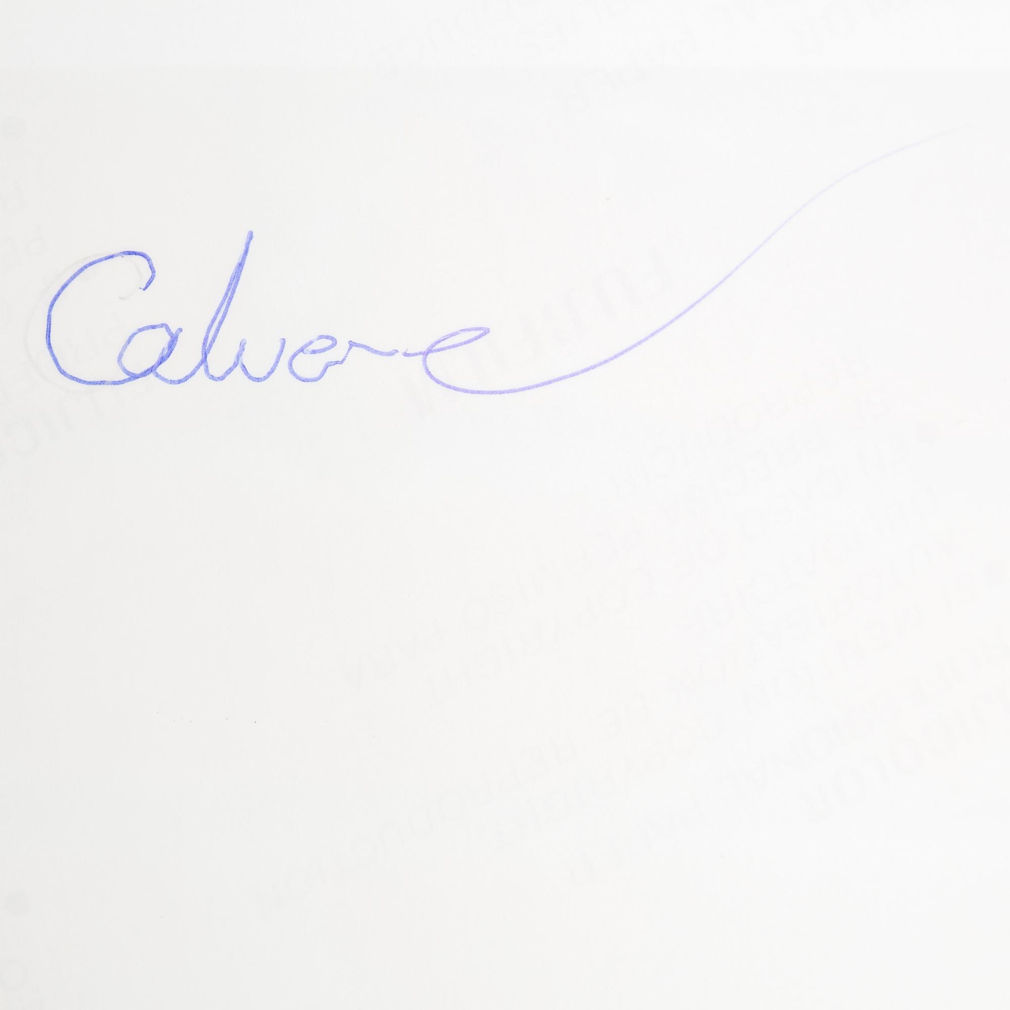 TORBJÖRN CALVERO, photograph of Emmylou Harris signed Calvero on verso.