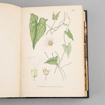 Three books 'Bilder ur Nordens Flora', 1905.