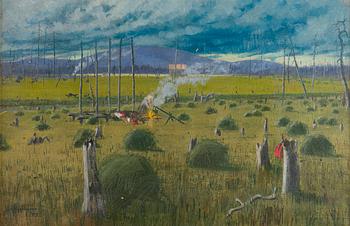 Juho Kyyhkynen, Aihe Lapista.