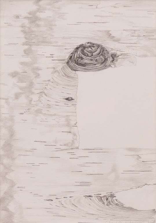 Charlotte Widegren, "Utan Titel, Dröm".