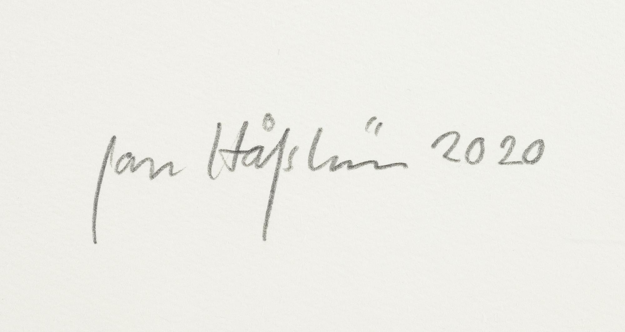 Jan Håfström, "Smiley".