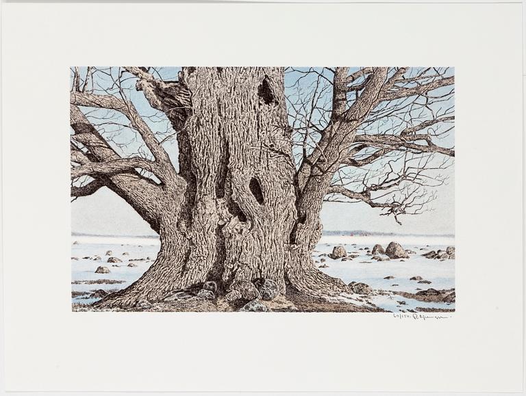 REINHOLD LJUNGGREN, a folder with 6 lithographs, signed and numbered 60/150.