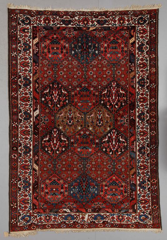 MATTA, old, Baktiari, ca 310 x 215 cm.