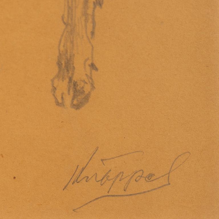 Arvid Knöppel, blyertsteckning, signerad.