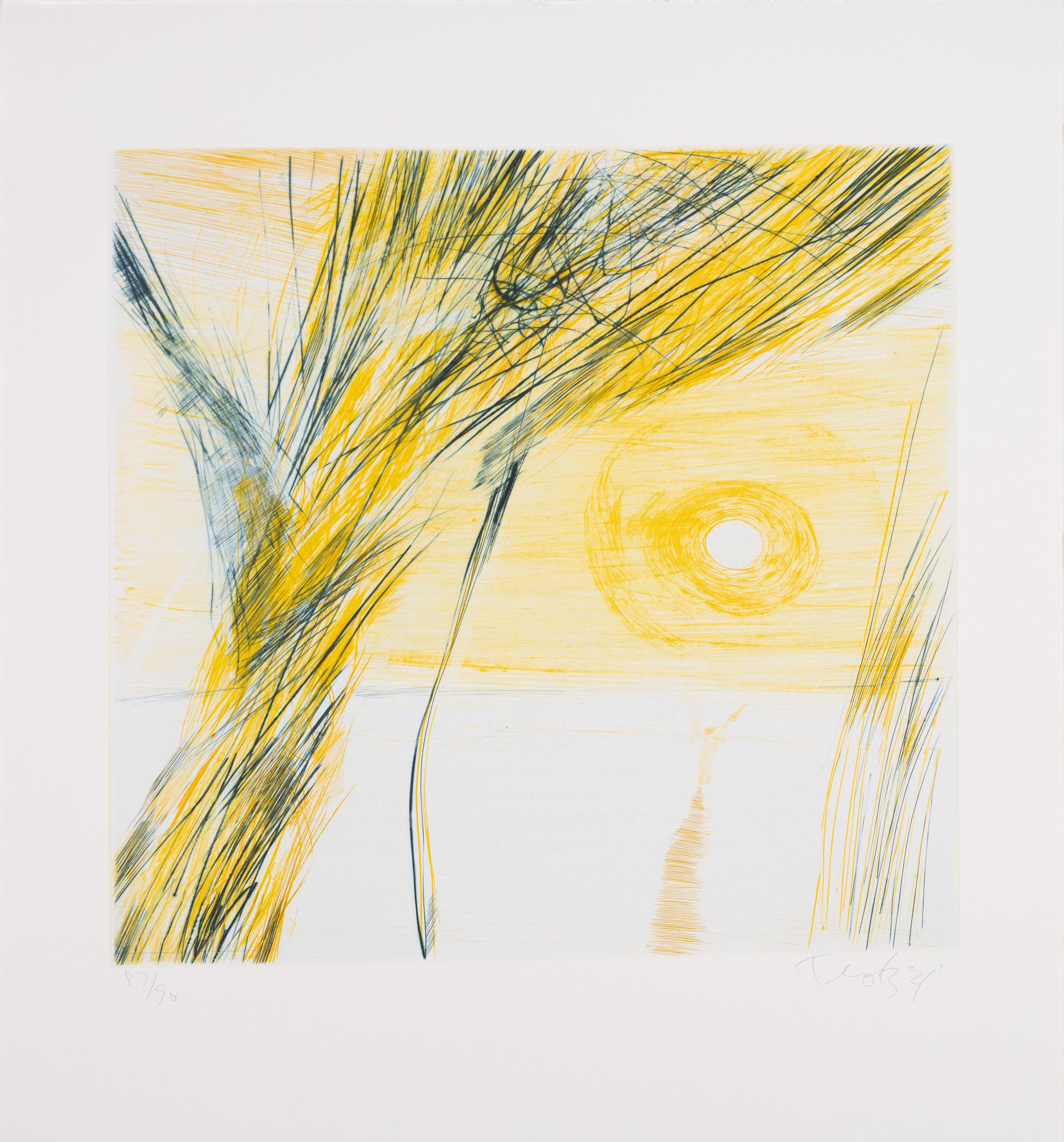 Ulf Trotzig, "King Sweeney", portfolio with nine colour etchings.