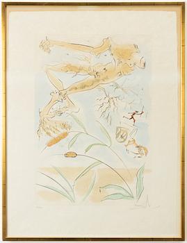 Salvador Dalí, "Le Chêne et le roseau".
