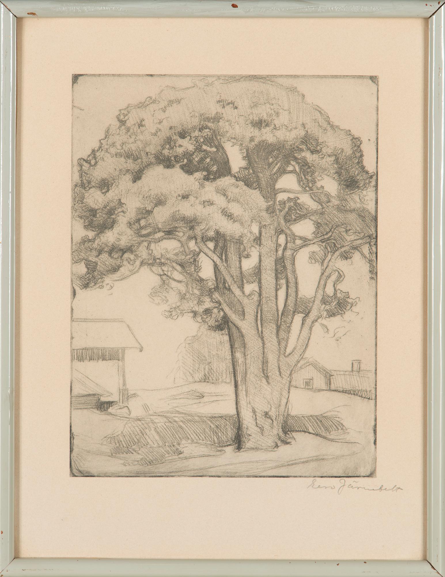Eero Järnefelt, An old tree.