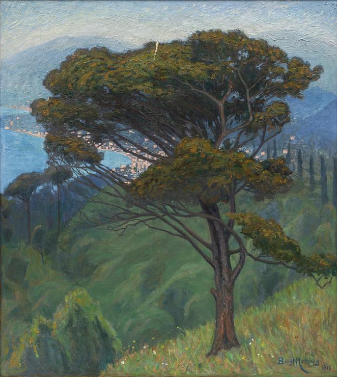 Bengt Hedberg, "Pinie, Montenegro, Italien".