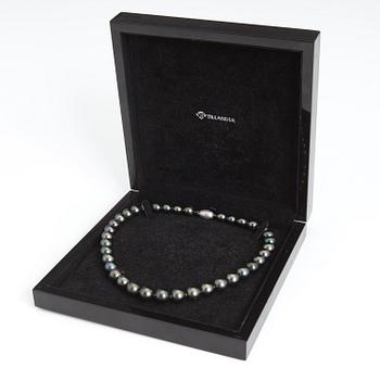 A TILLANDER, HELMINAUHA, tahitihelmiä, 18K valkokultaa.