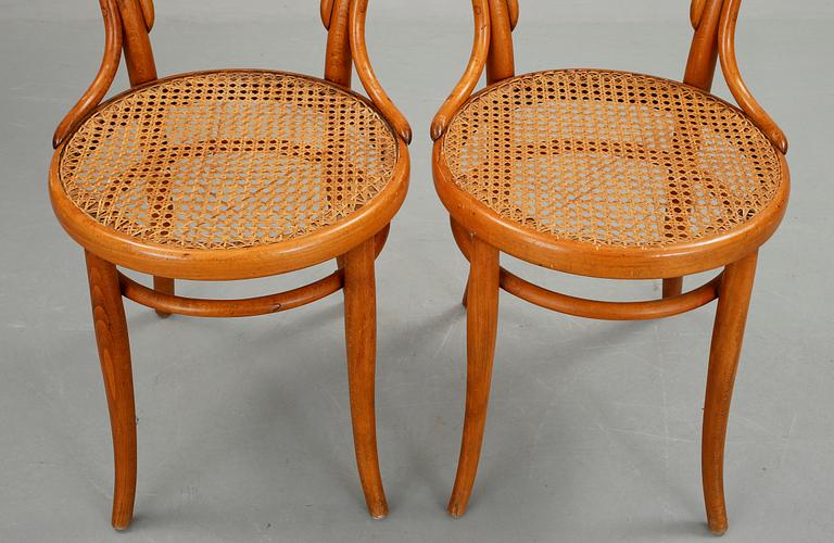 STOLAR, 2 st, Thonet, 1900-talets början.