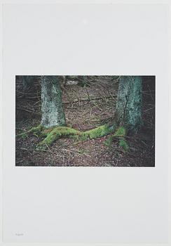 ANDREAS ERIKSSON, portfolio. Signed AE inside the box and numbered 18/250.