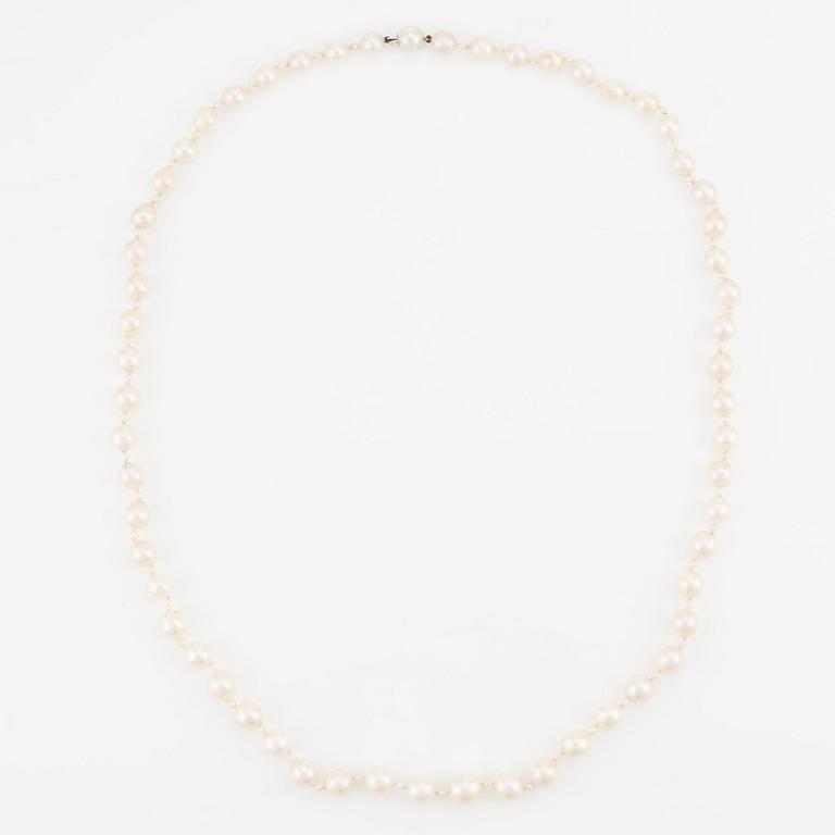 A cultured pearl necklace.