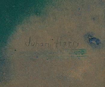 JUHANI HARRI, öljy levylle, signeerattu.