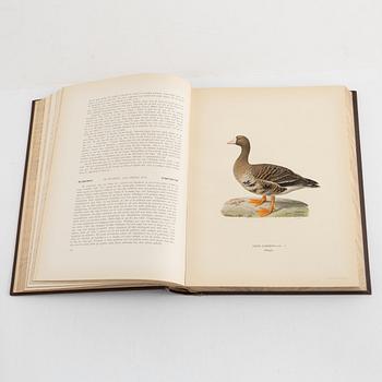 The Wright Brothers, book work, 3 vols "Swedish Birds", 2nd edition. A. Börtzells tryckeri AB, Stockholm, 1927-1929.