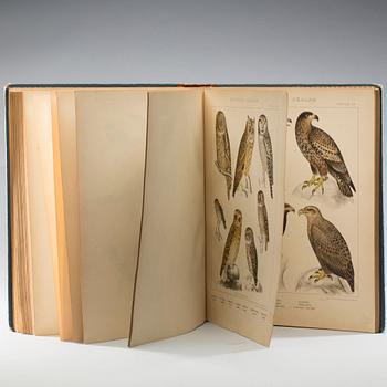 GUSTAF KOLTHOFF och L.A. JÄGERSKIÖLD, "Nordens Fåglar", F & G Beijer Bokförlagsaktiebolag, Stockholm, 1898.