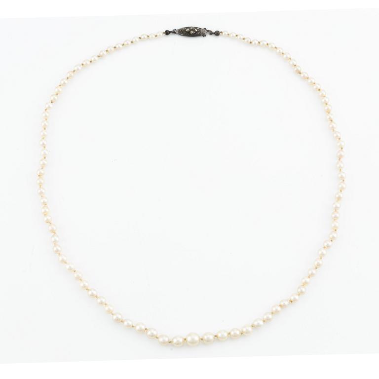 A cultured pearl necklace with a silver clasp.