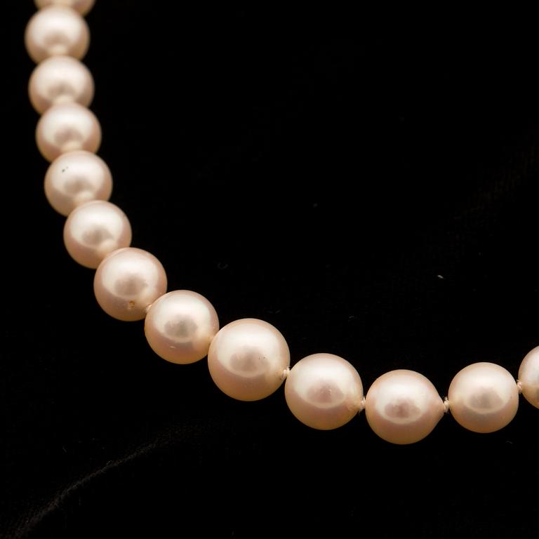 A collier with cultured akoya pearls and silver clasp.