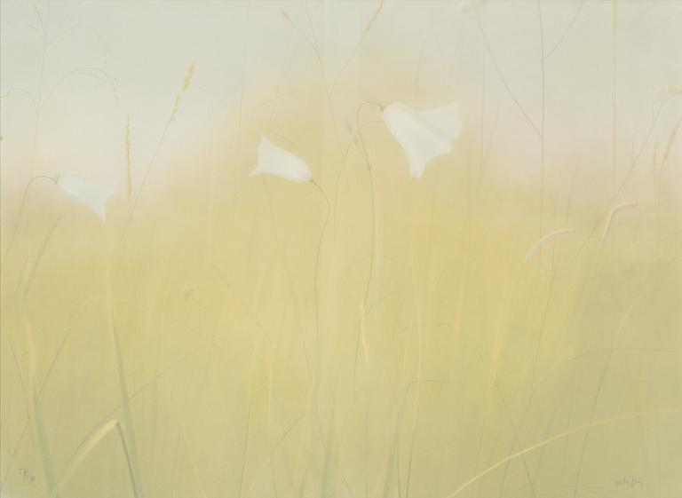 Peter Frie, lithograph, Meadow Flowers.