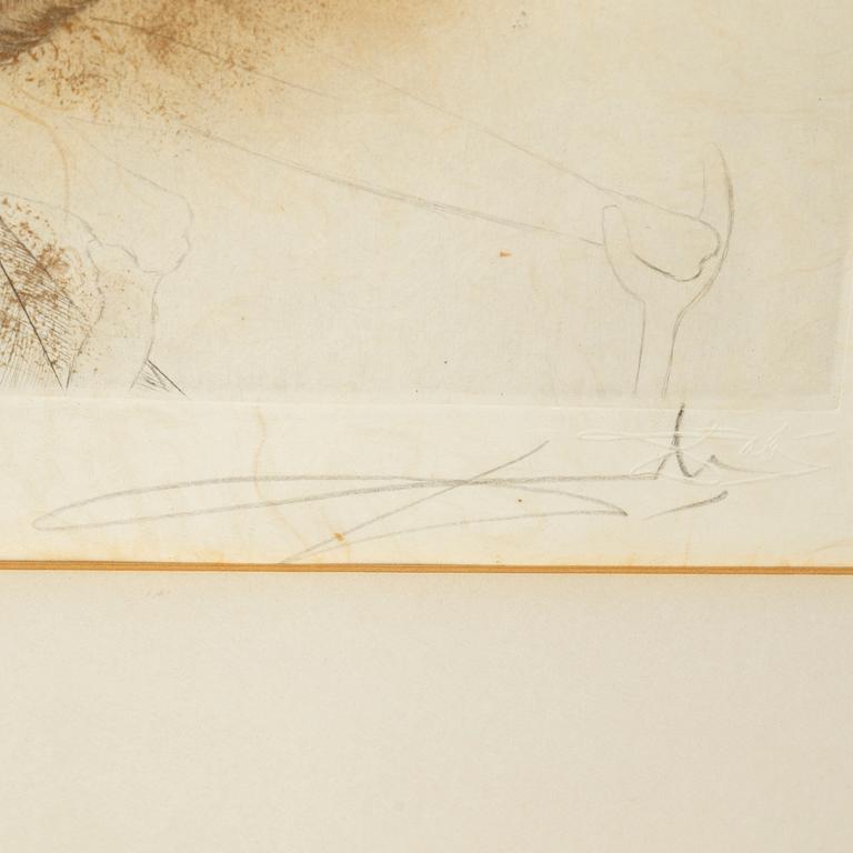 Salvador Dalí, etching with coloring, signed and numbured 70/145.