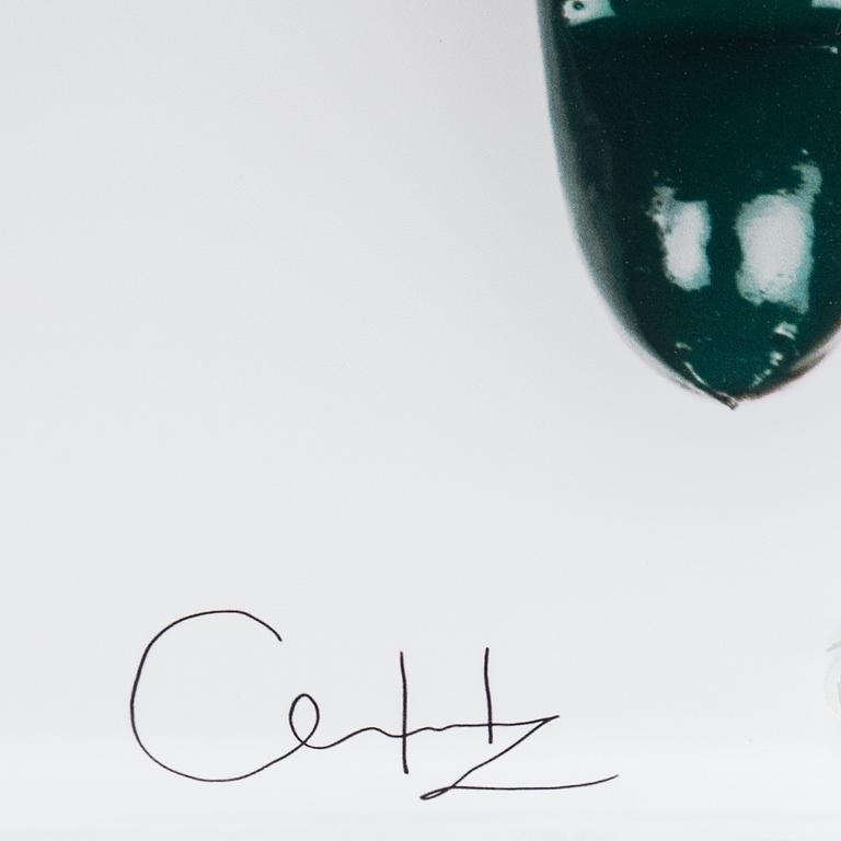 CLARA HALLENCREUTZ, photograph, mounted on glass, signed.