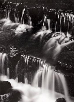 312. Ansel Adams, "Fern Spring, Dusk, Yosemite Valley, California", ca 1961.