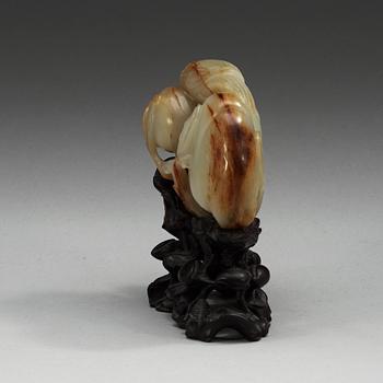 A carved nephrite figure of a parrot among peaches, Qing dynasty.