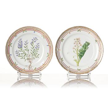 Tallrikar, 10 stycken, porslin. "Flora Danica", Danmark, 1900-tal.