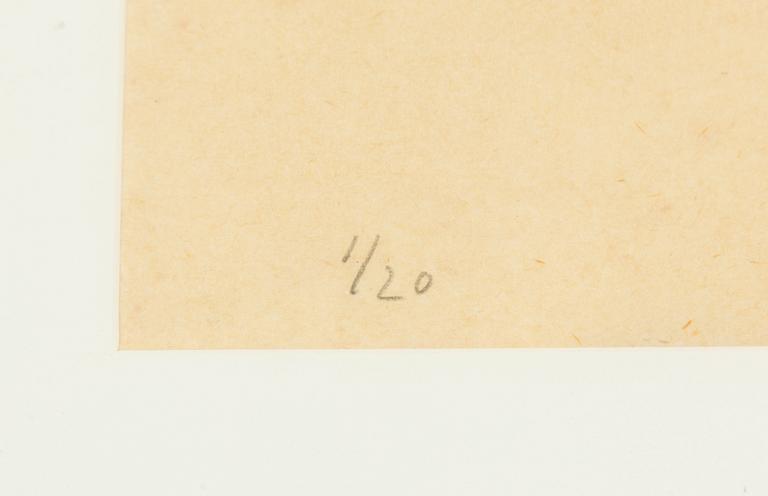 Lars Lerin, Björkar.