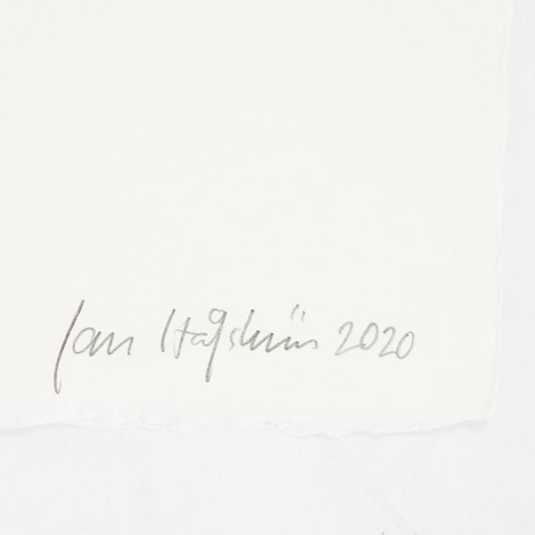 Jan Håfström, etching in colours, 2020, signed 45/50.