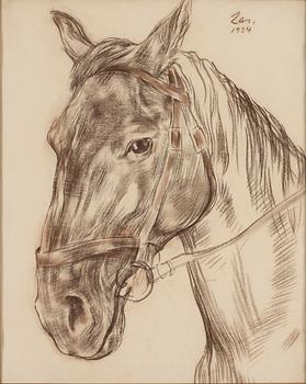 226. Lotte Laserstein, Porträtt av häst.