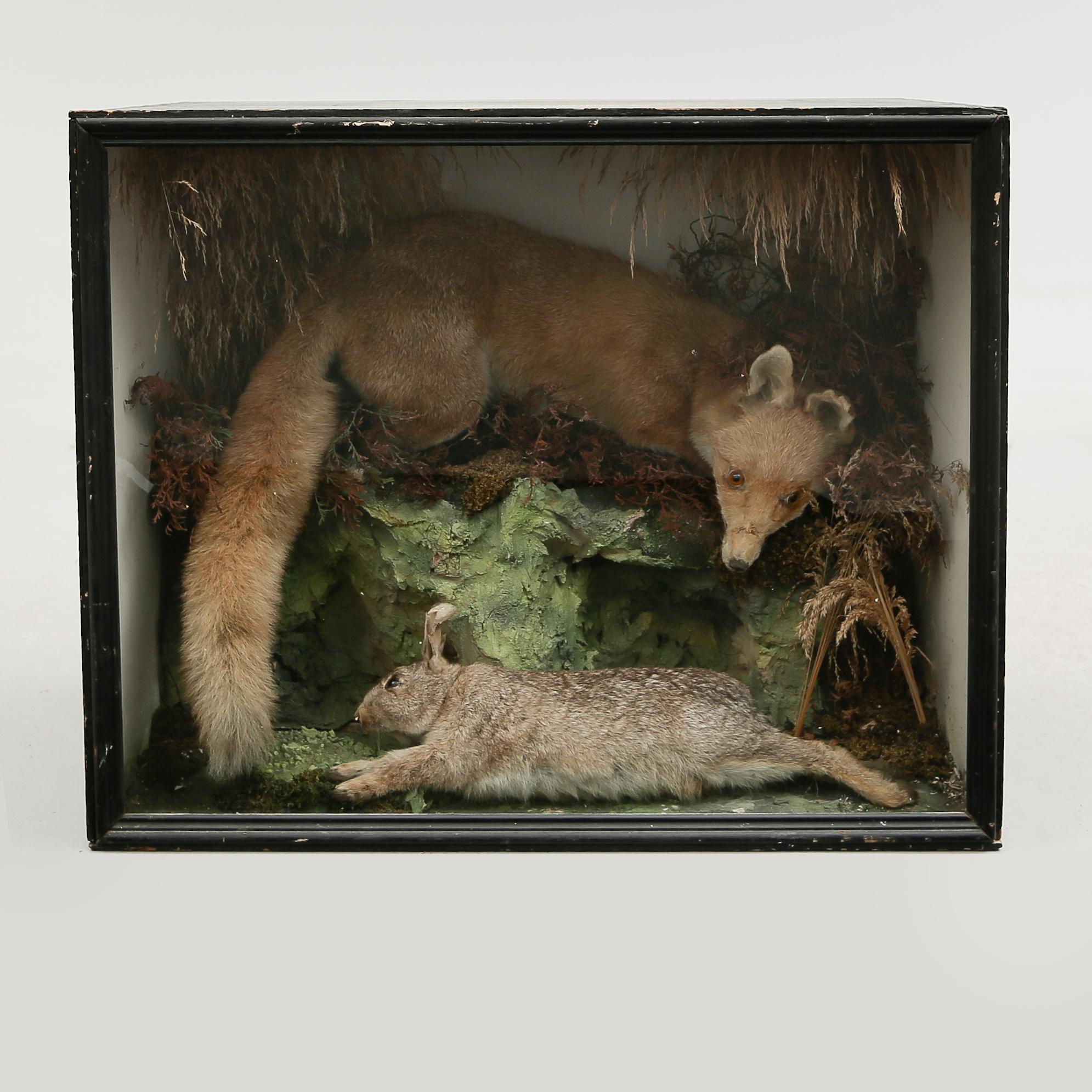 DIORAMA, 1900-talets första hälft.