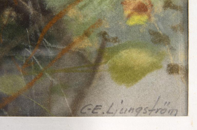 CARL ERIC LJUNGSTRÖM, pastell, sign.