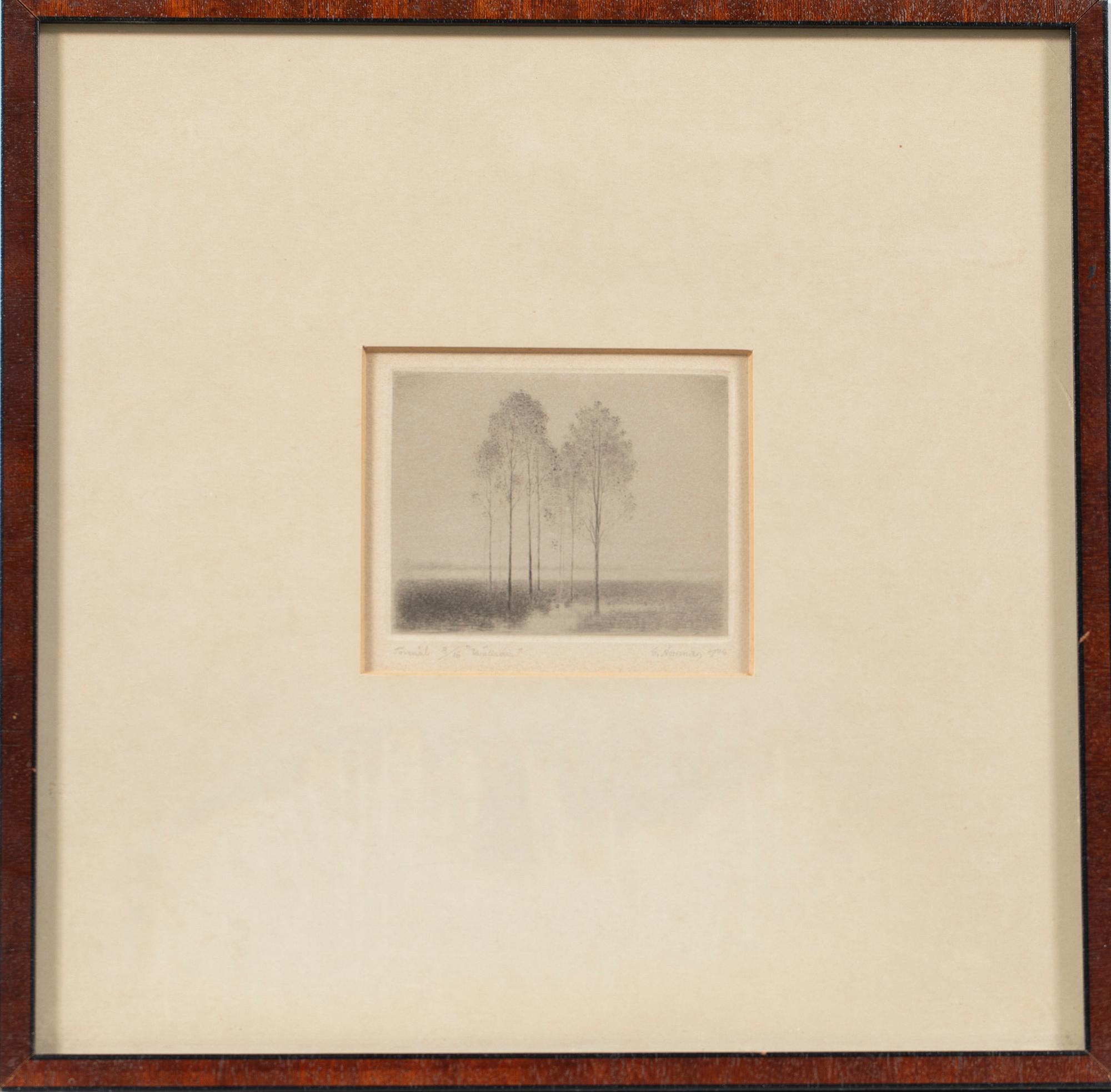 Gunnar Norrman, "Evening Haze", 1976.