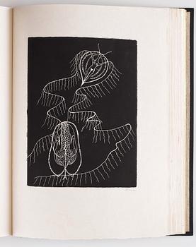 PORTFÖLJ, "Paroles Peintes I+II" (41).