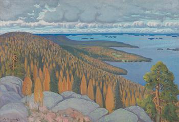 David Johannes Niemelä, View from Koli.