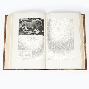 Osvald Sirén, "Kinas Konst under tre årtusenden", vol I-II, Stockholm 1942 och 1943.