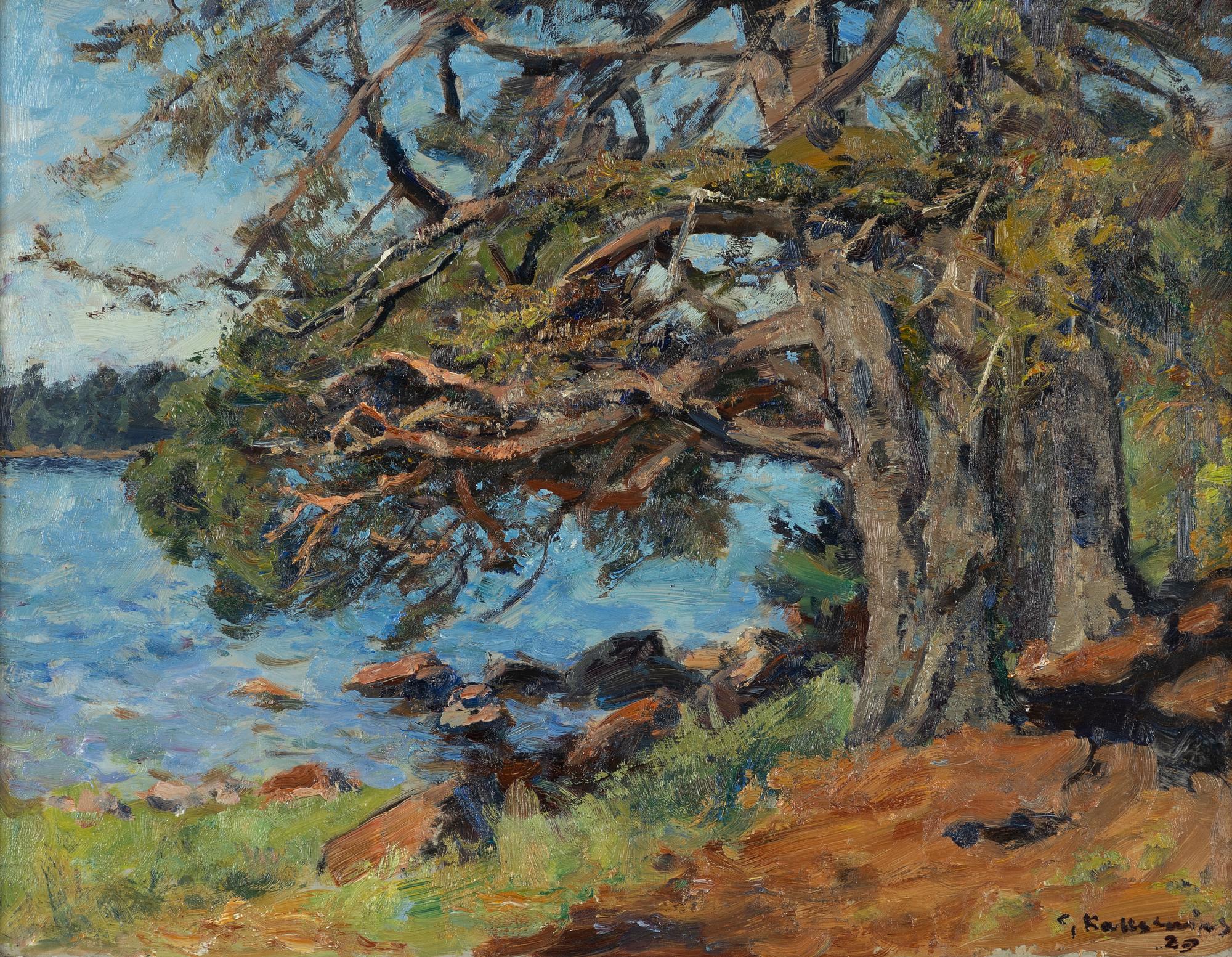 Gottfrid Kallstenius, "Gamla träd vid stranden".