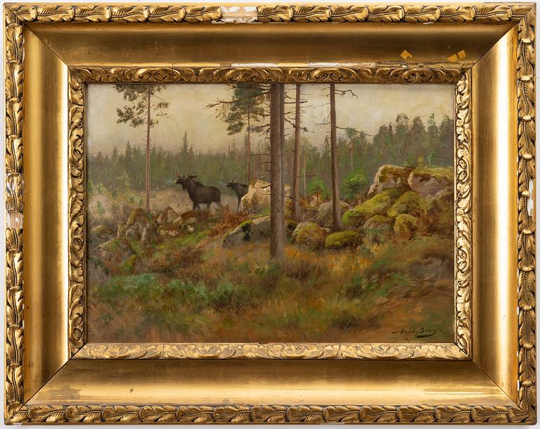Axel Borg, Moose at a Clear-Cut Logging Site.
