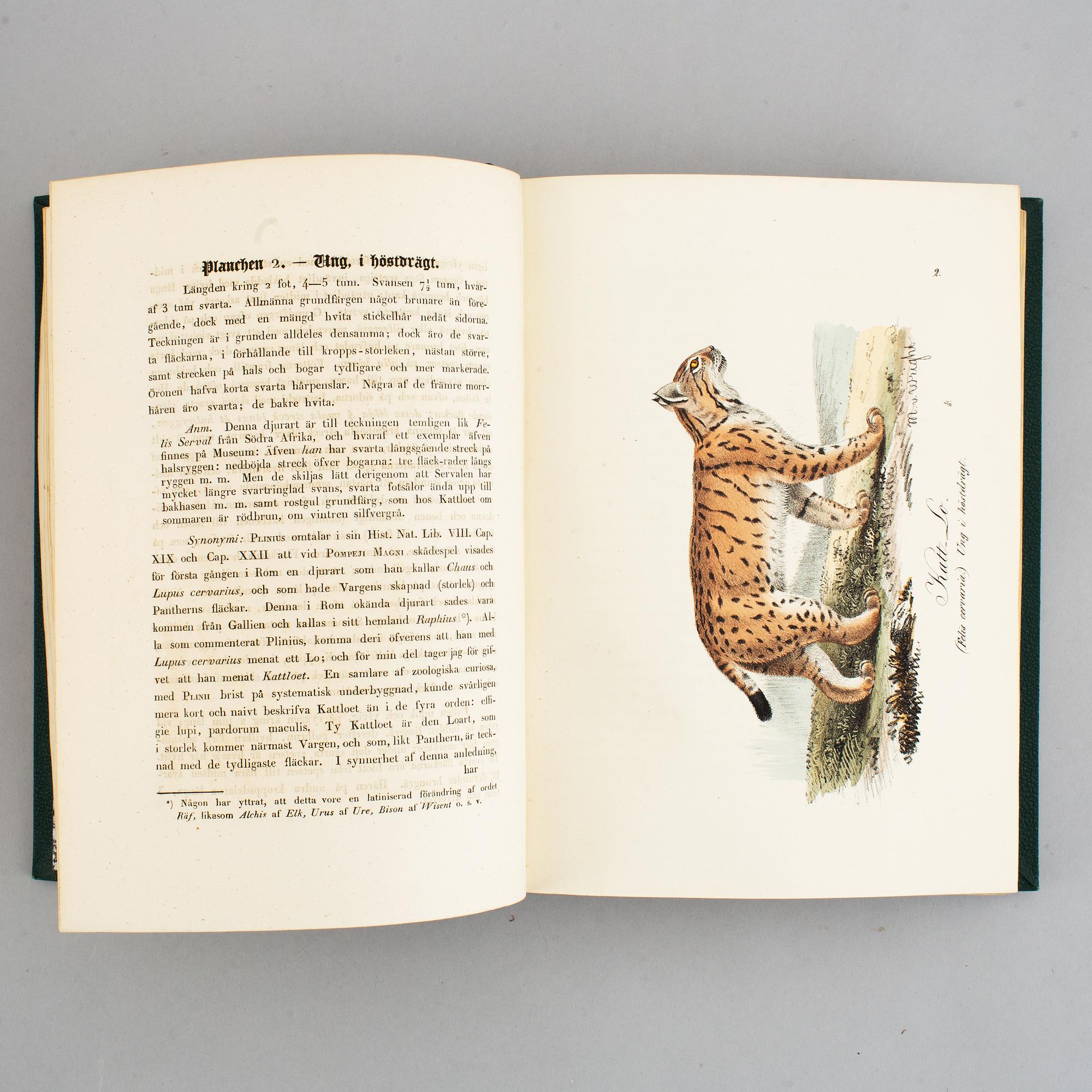Med 200 litograferade zoologiska planscher, 1832-40, (2 vol).