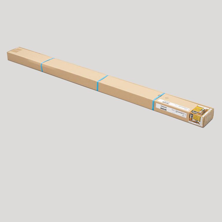 Ernst Billgren, "Besök hemma".