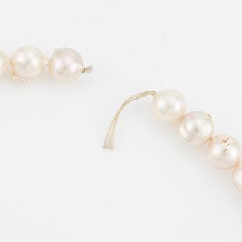 A necklace of cultured pearls without a clasp.