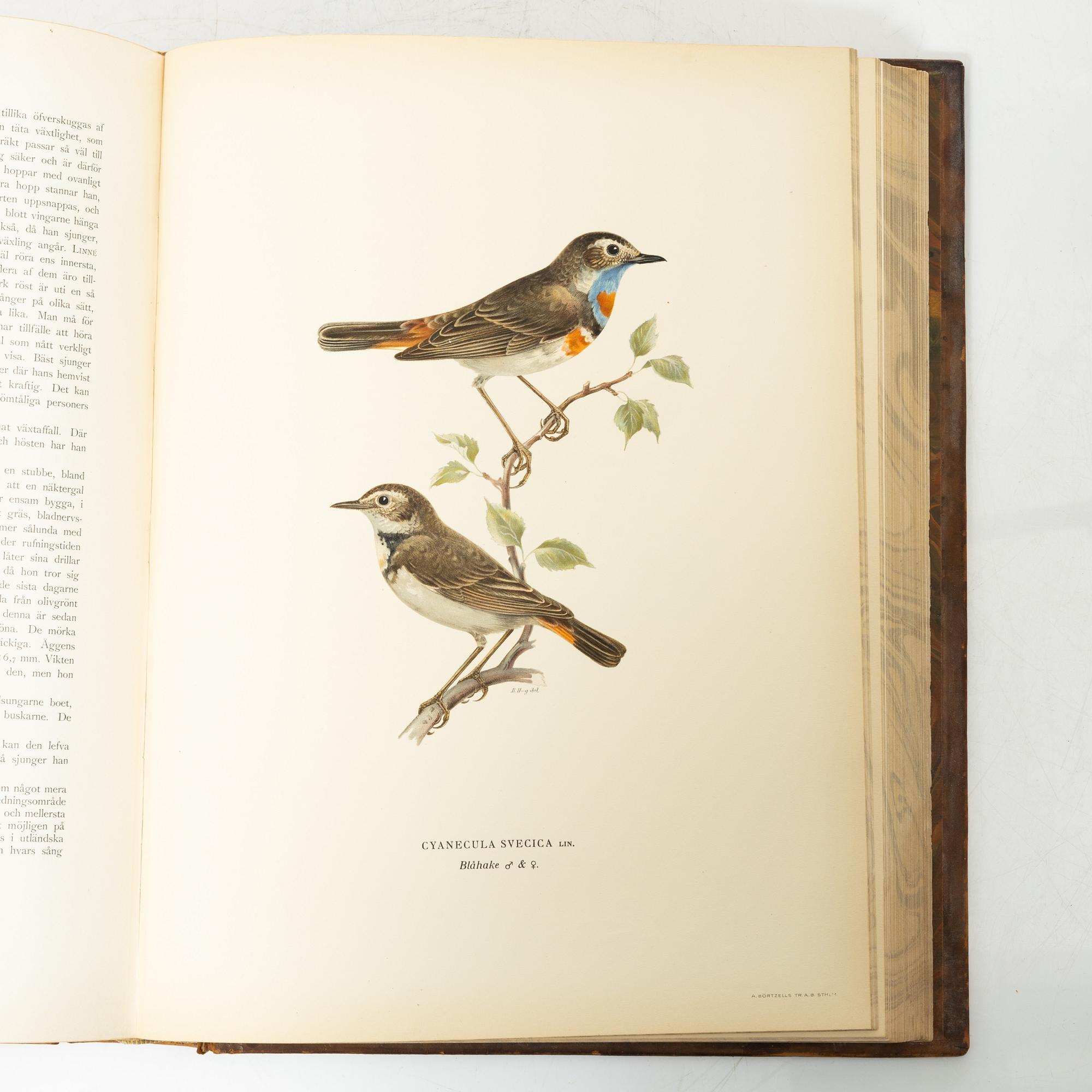 The von Wright brothers, book work, 3 volumes, "Swedish Birds", A. Börtzells tryckeri AB, Stockholm, 1927-1929.