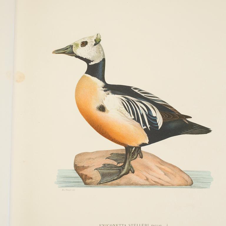 BRÖDERNA VON WRIGHT, 2 books, "Svenska fåglar", Stockholm, 1924.