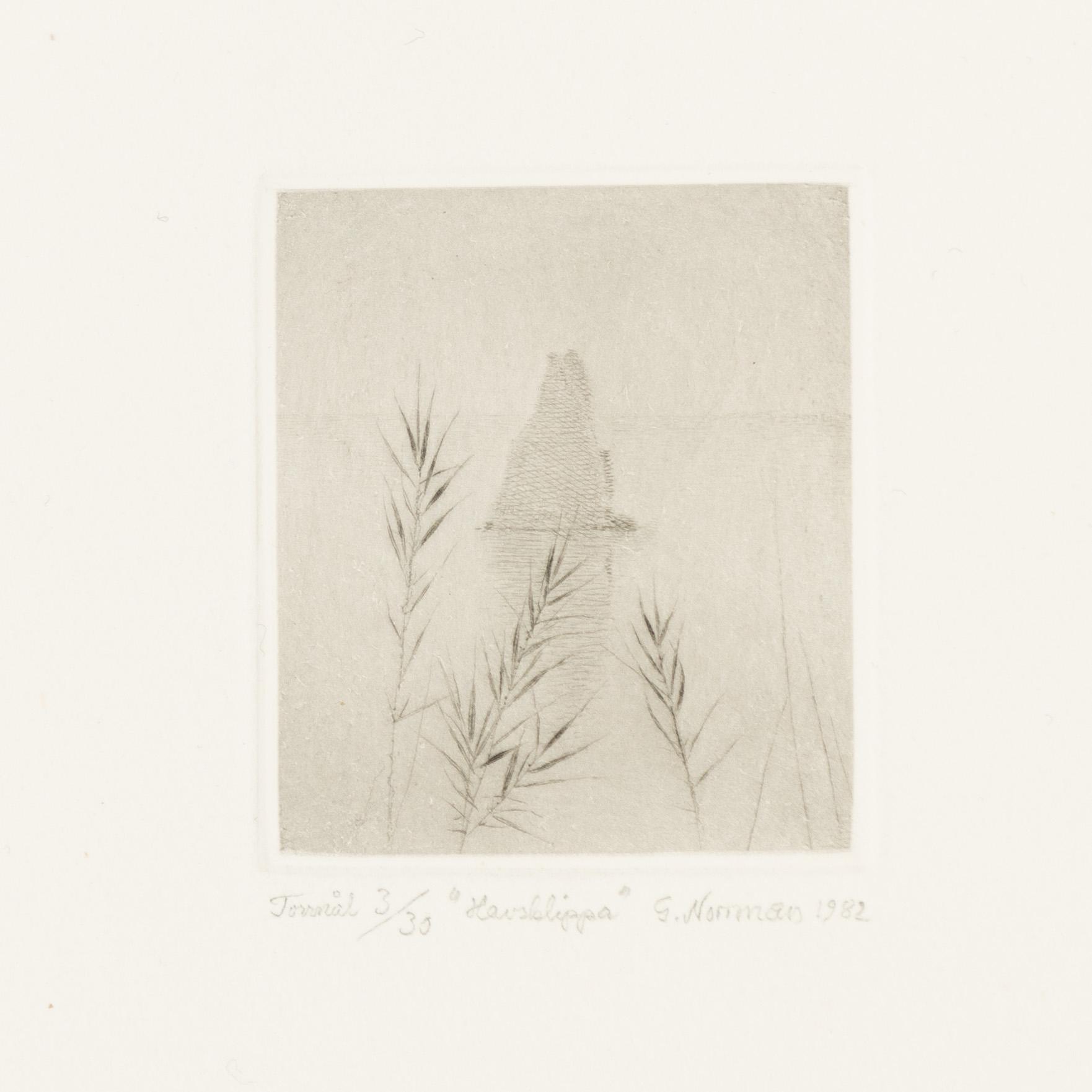 Gunnar Norrman, Drypoint engravings, 9, signed and numbered.