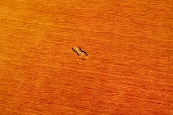 Matta, Lori, ca 298 x 200 cm.