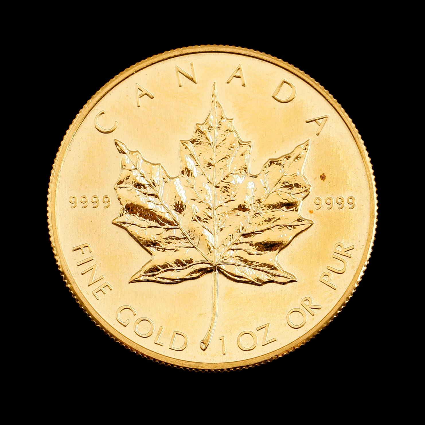GULDMYNT, fine gold, 50 dollar, Elizabeth II, Canada, 1983. Vikt ca 31 gram.