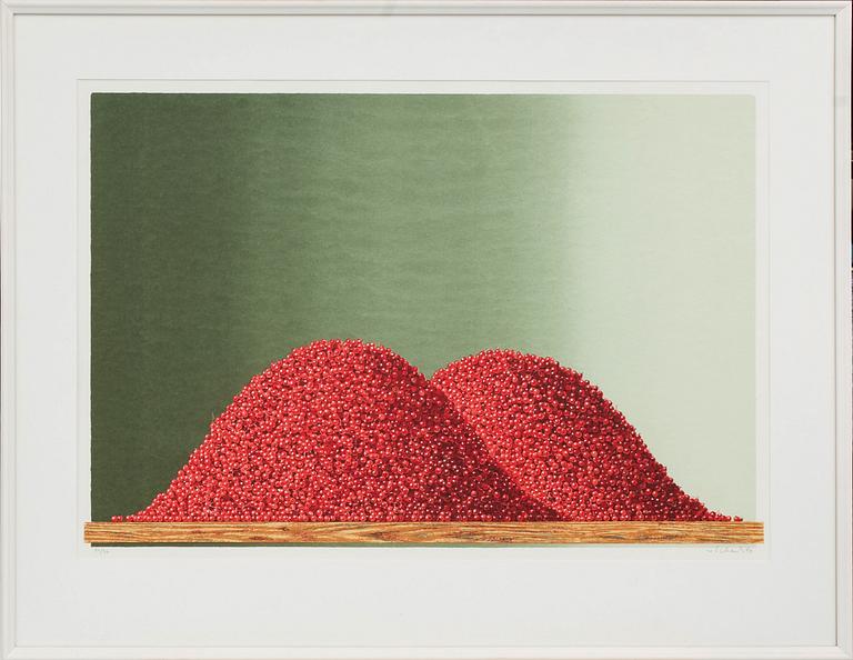 PHILIP VON SCHANTZ, färgserigrafi, signerad och numrerad 86/90, daterad -80.