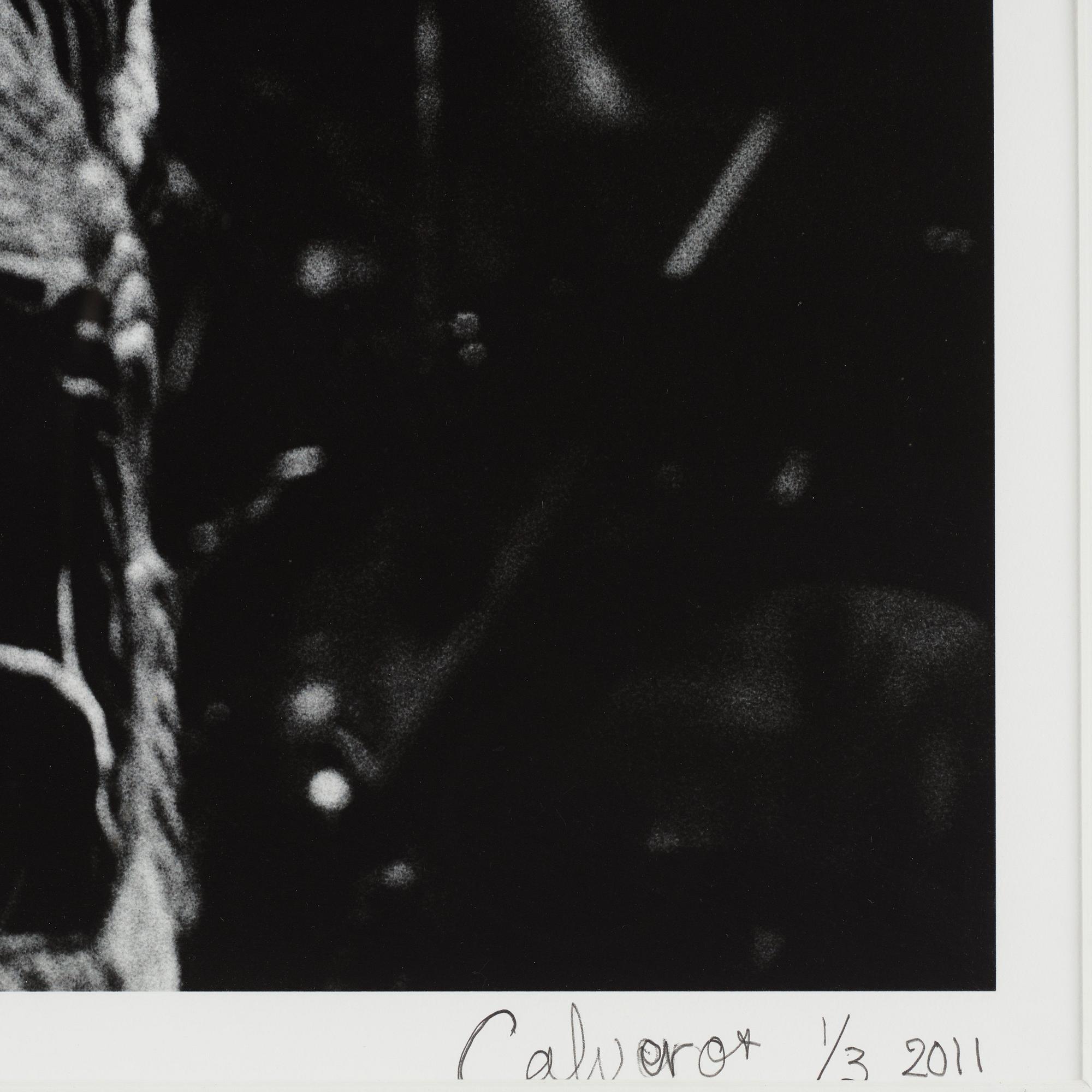 Torbjörn Calvero, "Led Zeppelin, Earl's Court, London 23 maj 1975".